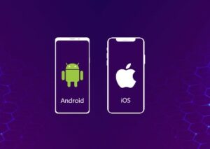 A Look into Android and iOS Developers